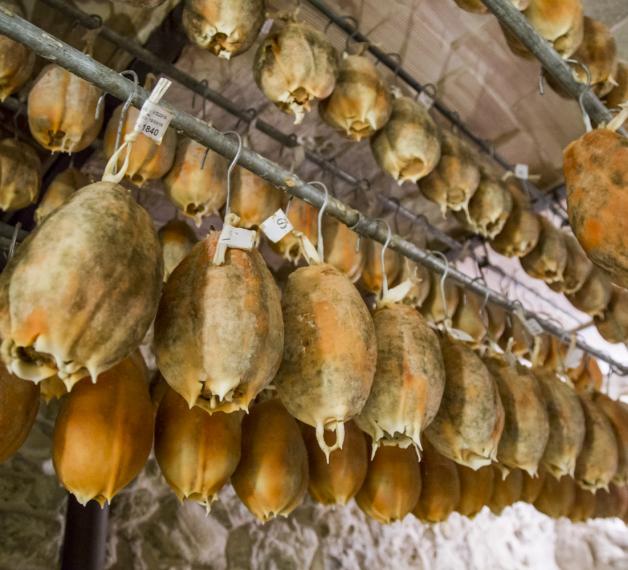 Ventricina del Vastese