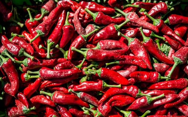 peperone dolce di Altino