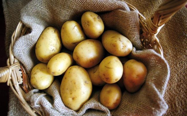 Patata del Medio Sangro