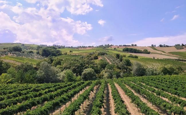Da Lanciano a Selva d'Altino