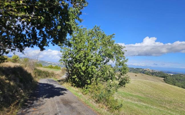 Monti Frentani