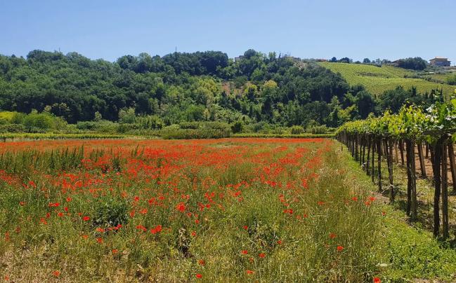 Da Miglianico a Guardiagrele