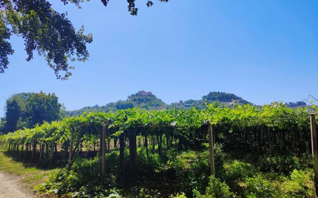 Da Miglianico a Guardiagrele