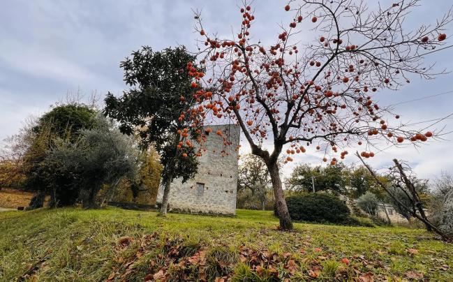 Da Bucchianico a Roccamontepiano a Pretoro