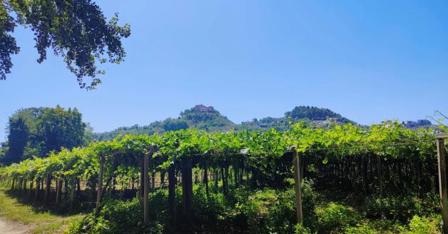 Da Miglianico a Guardiagrele