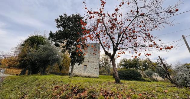 Da Bucchianico a Roccamontepiano a Pretoro