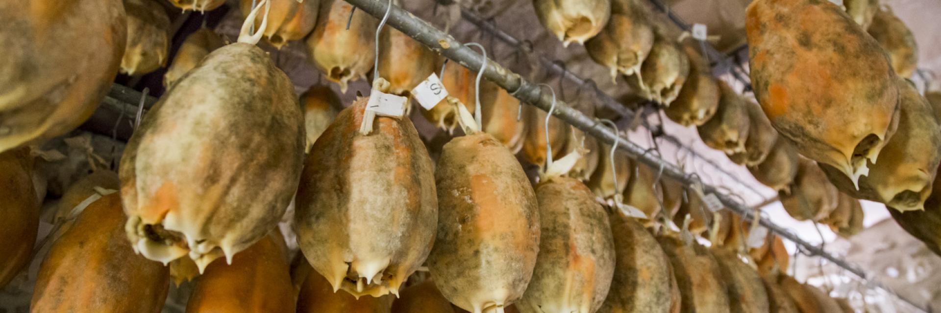 Ventricina del Vastese