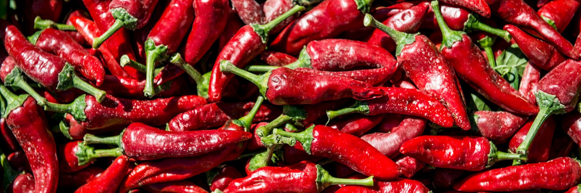 peperone dolce di Altino