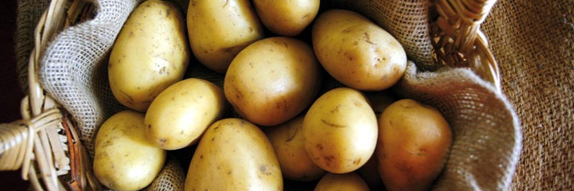 Patata del Medio Sangro