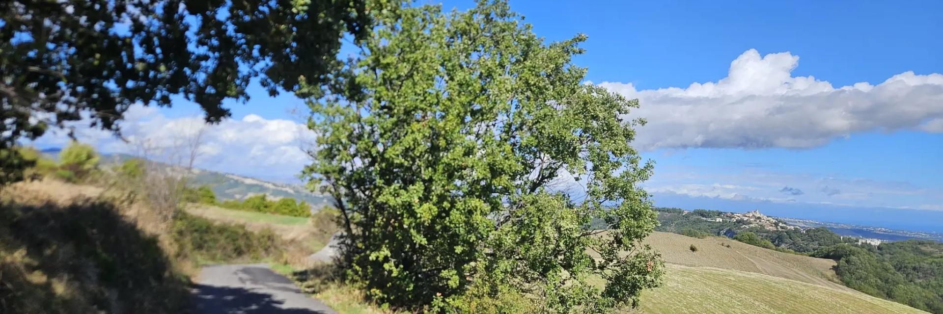 Monti Frentani