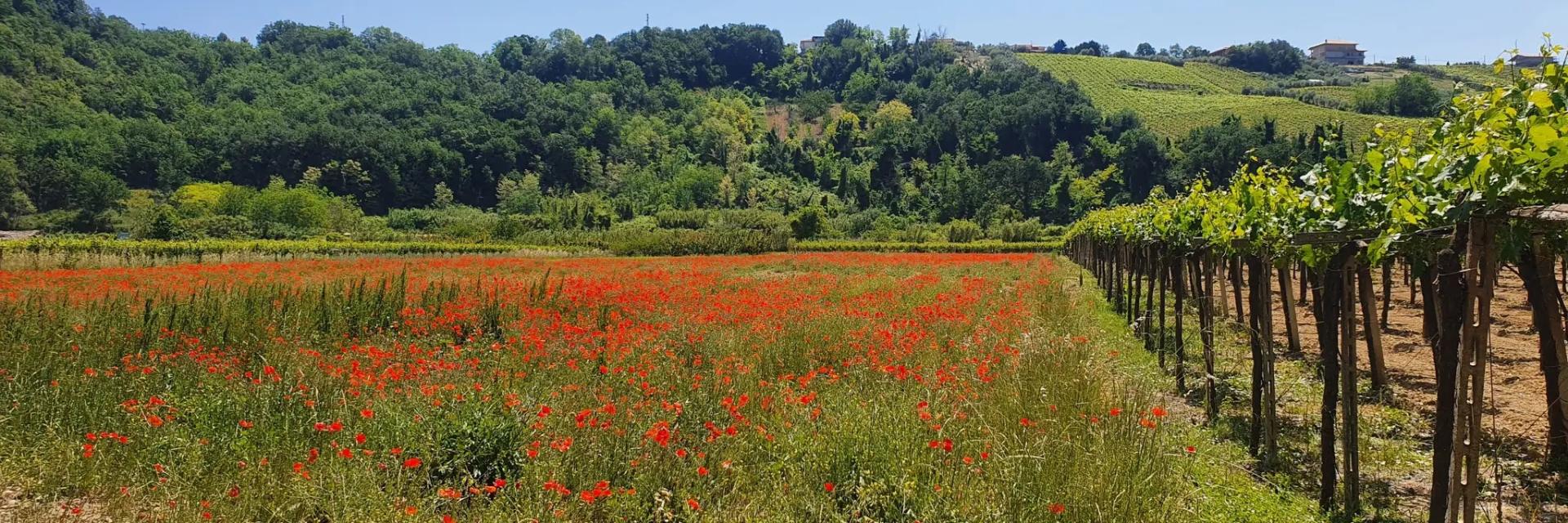 Da Miglianico a Guardiagrele