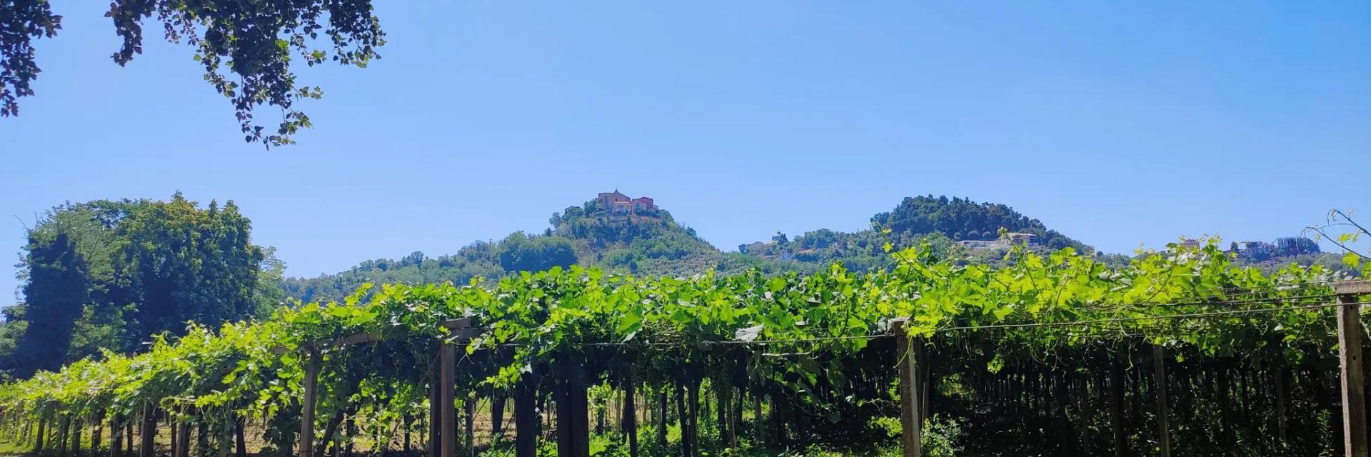 Da Miglianico a Guardiagrele