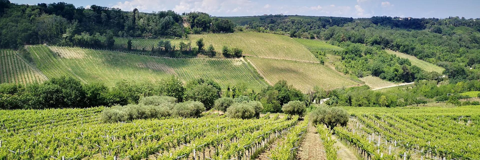 Da Canosa Sannita a Orsogna