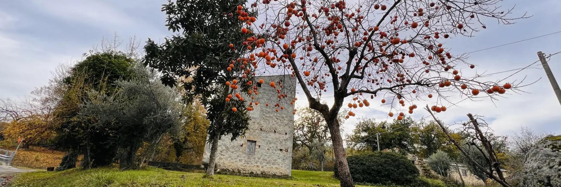 Da Bucchianico a Roccamontepiano a Pretoro