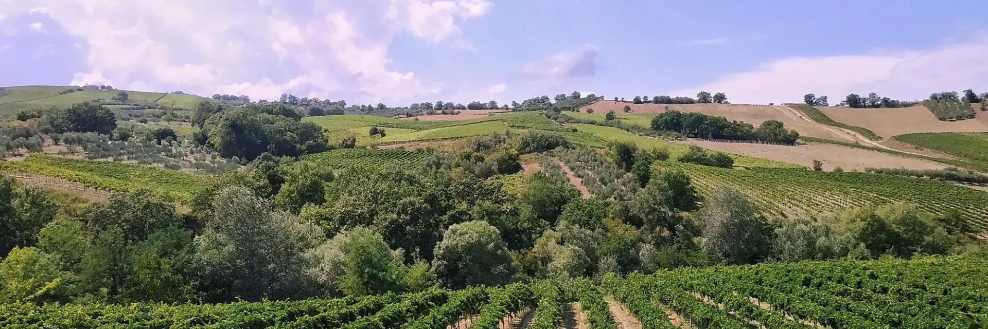 Da Casoli a Guardiagrele a Lanciano
