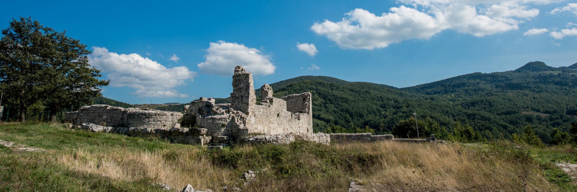 Trebula - DMC SA